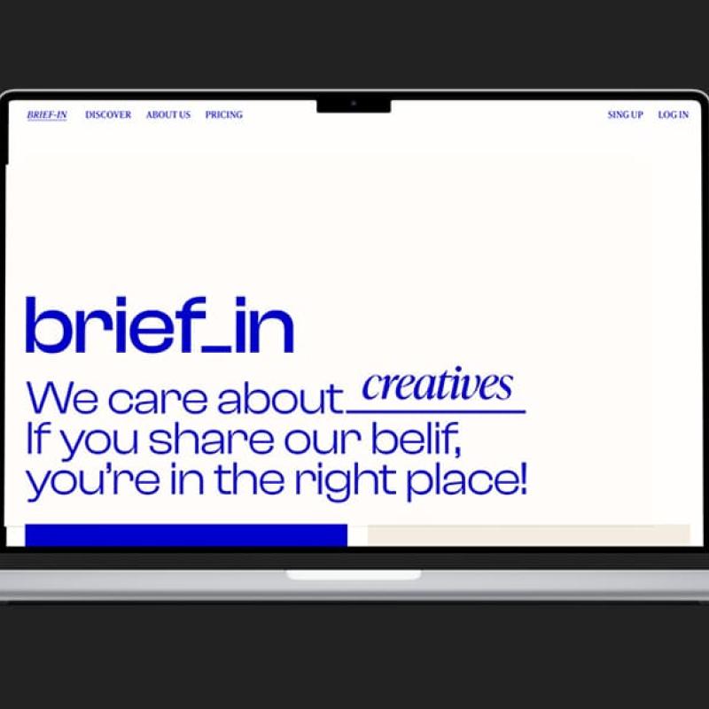 Brief-in 